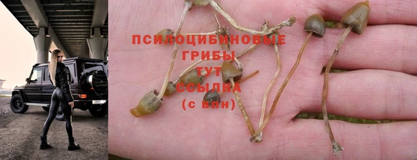 mdpv Алексеевка