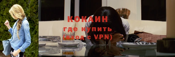 соль ск Абаза